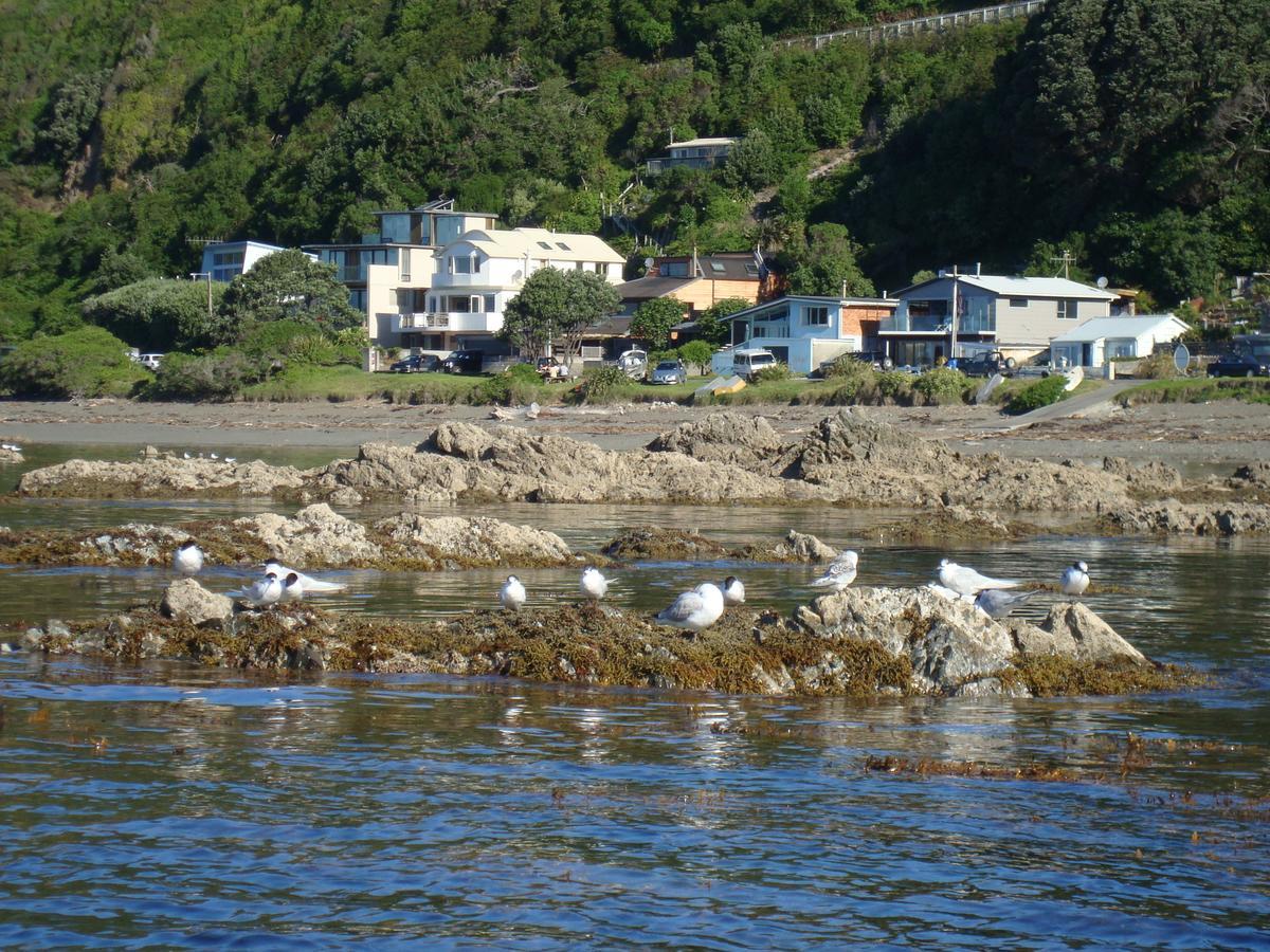 Kapiti Waves Bed & Breakfast Pukerua Bay Экстерьер фото
